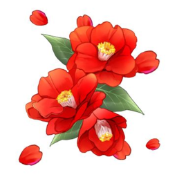 🌹