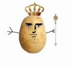 The Kingdom Of Weirdness