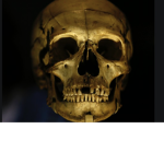 The skeletons family