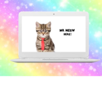 Meow group!!