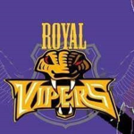 Royal Vipers