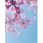 ~March~