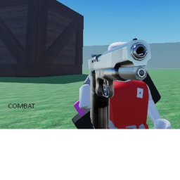 SHERIFF COMBAT: