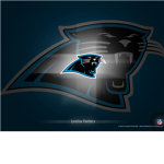 Panthers Football Team