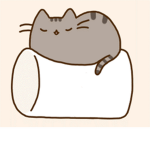 Pusheen Marshmellow Cat