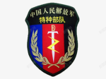 [LYMR]Special Forces|特种部队