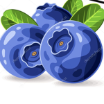 Blueberry fanclub