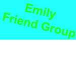 HAILEY'S FRIEND GROUP