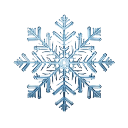 Snowflake NoFilter