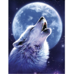 EQUIPO LOBO