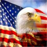 United States of  America/Roblox usa