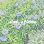 Akira’s Fan Clothing