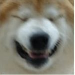 Dount_hamster