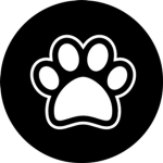 The Dog Squad