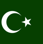People's Intelligence Corps