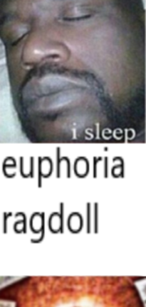 Euphoria Ragdoll Testing screenshot 4