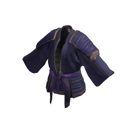 🥋 Midnight Ronin Robe