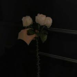 옷잘알 상점