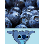 BLUEBERRIES!!!!!!!?!