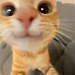 ❀