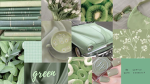 sagegreen heartt