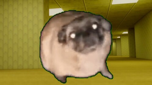 Backroom di Pug Meme danzante
