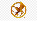 Panem-United