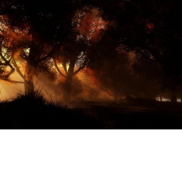 The darkness