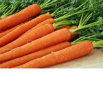 club carrot