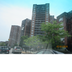 New York Fan Group