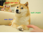 Doge.Team