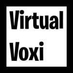 VirtualVoxi Team