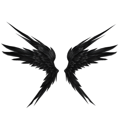 Black Raven Wings