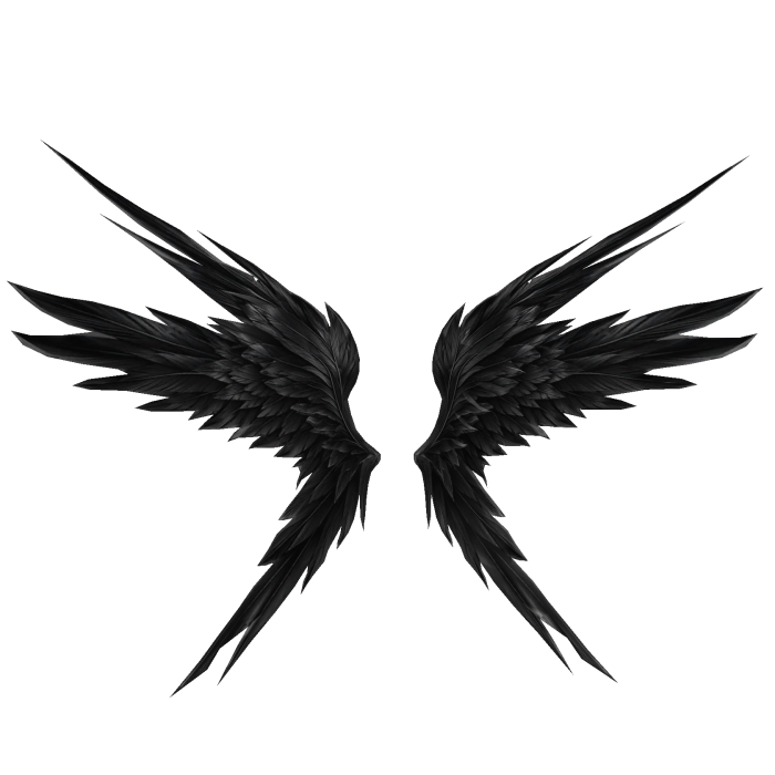 Black Raven Wings