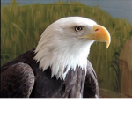 $$Eagles United$$