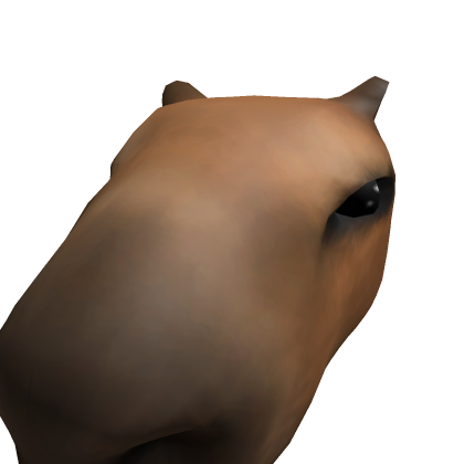 Capigod