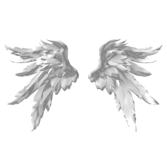 Big White Angel Wings