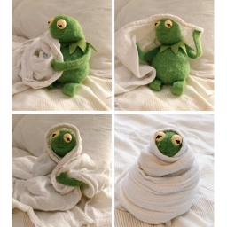 watch wwe with kermit