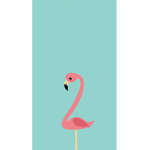 Pinkie Flamingos