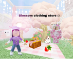 Blossom Clothing Store :)