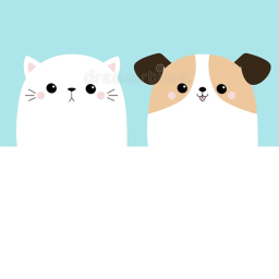 puppy kitty times