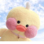 TEH DUCK NATION!!