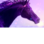 Galactic Riding Academy