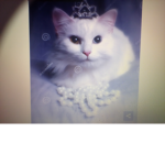 Kitty Queens!!!