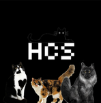 Hcs Group