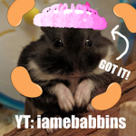 Ebabbins beans