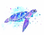 *~Eden’s Turtels~*