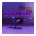 $Braaty Homestore