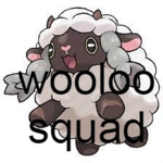 The Wooloo Squad