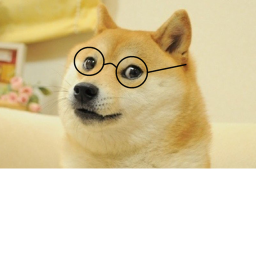 doge dimension